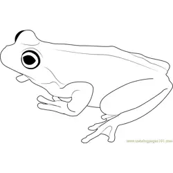 Brown Tree Frog Free Coloring Page for Kids