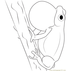 Frog on Tree Free Coloring Page for Kids