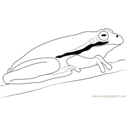 Green Tree Frog Relaxing Free Coloring Page for Kids