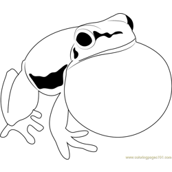 Litoria fallax Calling Free Coloring Page for Kids