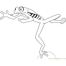 Red Eyed Tree Frog Jumping Free Coloring Page for Kids