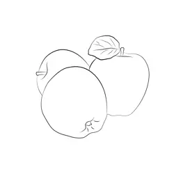 Gazette Apples Free Coloring Page for Kids