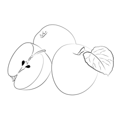 Green Apples Free Coloring Page for Kids