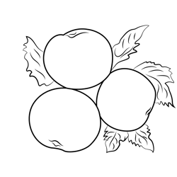 Healthy Apple Free Coloring Page for Kids