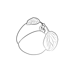 Apricot 1 Free Coloring Page for Kids