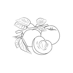 Apricot 2 Free Coloring Page for Kids