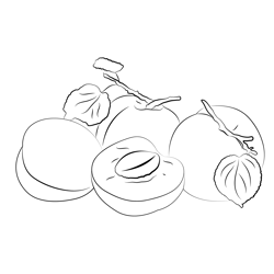 Apricot Group Free Coloring Page for Kids