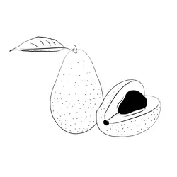 Avocado Cut Free Coloring Page for Kids