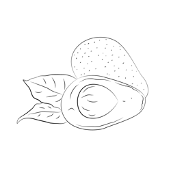 Avocado Halved Free Coloring Page for Kids