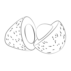 Avocado Medium Free Coloring Page for Kids
