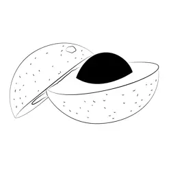 Avocado Seed Free Coloring Page for Kids