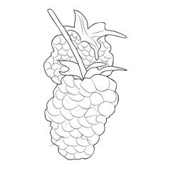Blackberry 3 Free Coloring Page for Kids