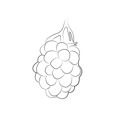 Blackberry Fruit Up Free Coloring Page for Kids