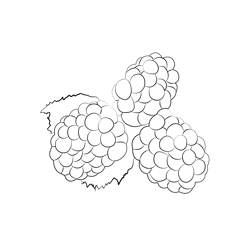 Blackberry Fruit Free Coloring Page for Kids