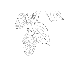 Blackberry Up Tree Free Coloring Page for Kids