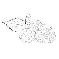Blackberry Free Coloring Page for Kids