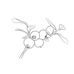 Blueberry 2 1 Free Coloring Page for Kids
