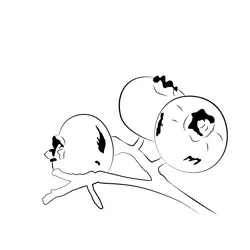 Define Blueberry Free Coloring Page for Kids