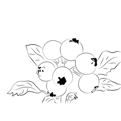 Spring High Free Coloring Page for Kids