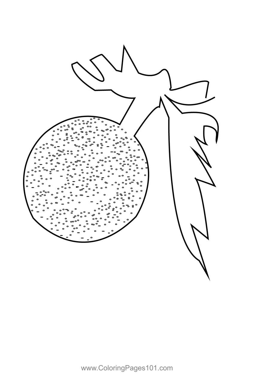 Breadfruit 2