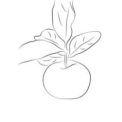 Barbados Cherry Free Coloring Page for Kids