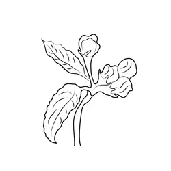 Cherry Blossoms Free Coloring Page for Kids
