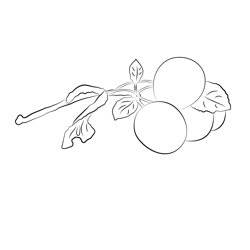Cherry Look Free Coloring Page for Kids