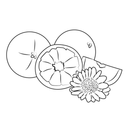 Citrus Fruit Free Coloring Page for Kids
