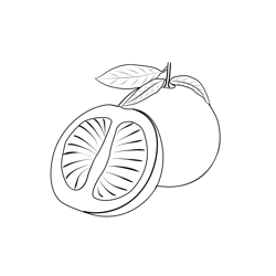Citrus fruits 1 Free Coloring Page for Kids