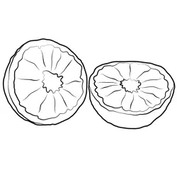 Slices Of Citrus Fruits Free Coloring Page for Kids