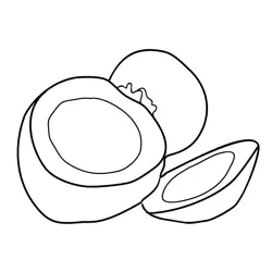 Coconut 1 Free Coloring Page for Kids