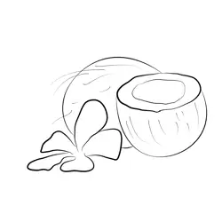 Coconut Look Cut Free Coloring Page for Kids