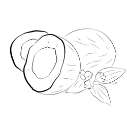 White Coconut Free Coloring Page for Kids