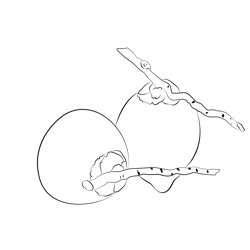 Green Coconut Dab Free Coloring Page for Kids