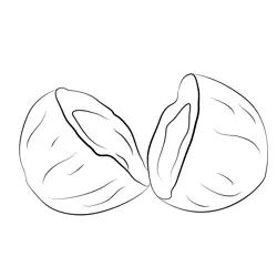 Split Open Coconut Husk Free Coloring Page for Kids
