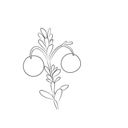 Cranberry 2 Free Coloring Page for Kids