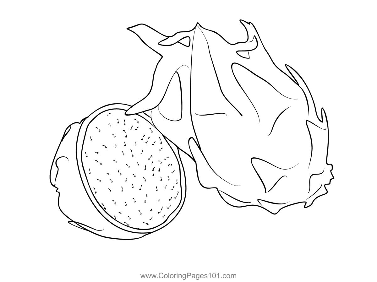 How to draw Dragon Blox Fruits in 2023  Dragon drawing, Fruits drawing,  Animal drawings