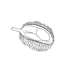 Durian 1 Free Coloring Page for Kids