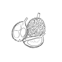 Durian 2 Free Coloring Page for Kids