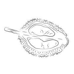 Durian Pic Free Coloring Page for Kids