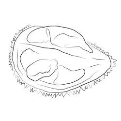 Durian Pulp Free Coloring Page for Kids