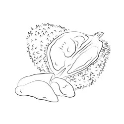 Durian Free Coloring Page for Kids