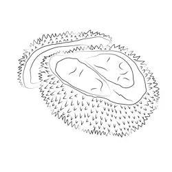 Singapore Durian Free Coloring Page for Kids
