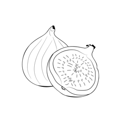 Figs 1 Free Coloring Page for Kids