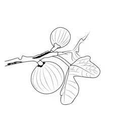 Figs 2 Free Coloring Page for Kids