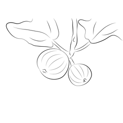 Figs At Look Free Coloring Page for Kids