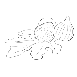 Figs Cut Free Coloring Page for Kids