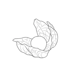 Gooseberry 3 Free Coloring Page for Kids