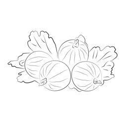 Gooseberry Group Free Coloring Page for Kids
