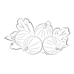 Gooseberry Group Free Coloring Page for Kids